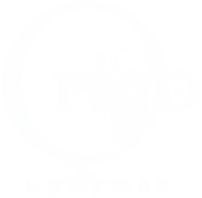Origo ugdymas