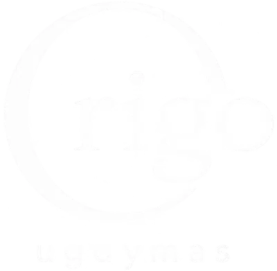 Origo ugdymas